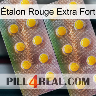 Étalon Rouge Extra Fort new10